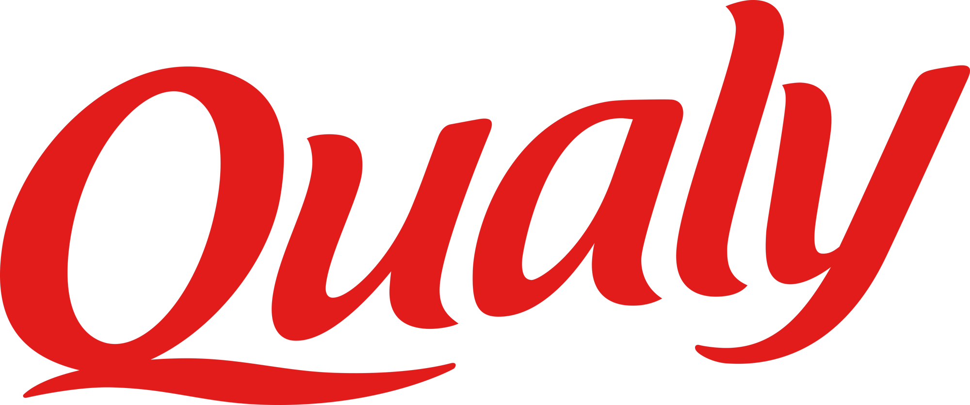 qualy-logo (2)